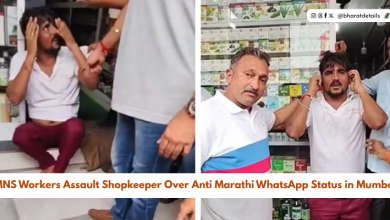 MNS Workers Assault Shopkeeper Over Anti Marathi WhatsApp Status in Mumbai