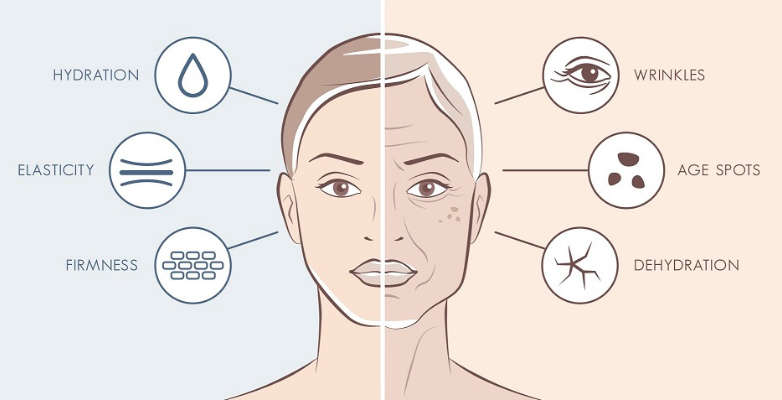 Reasons and Methods of preventing Anti-Aging