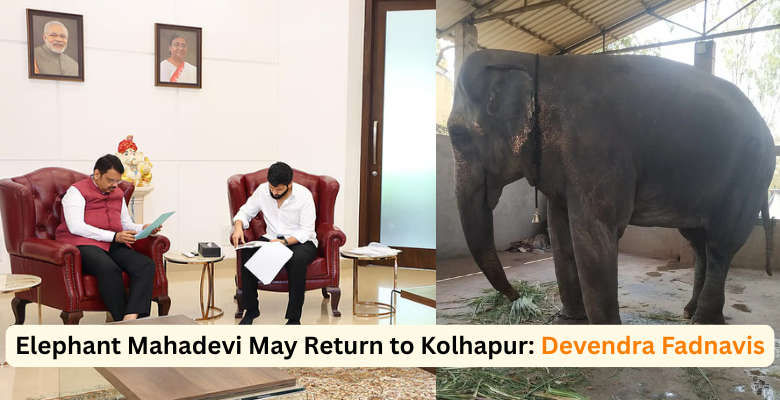 Elephant Mahadevi May Return to Kolhapur Devendra Fadnavis