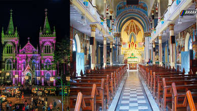 Mount Mary Feast 2025