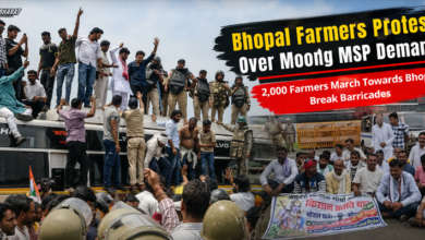 Farmers march towards Bhopal demanding full moong procurement at MSP