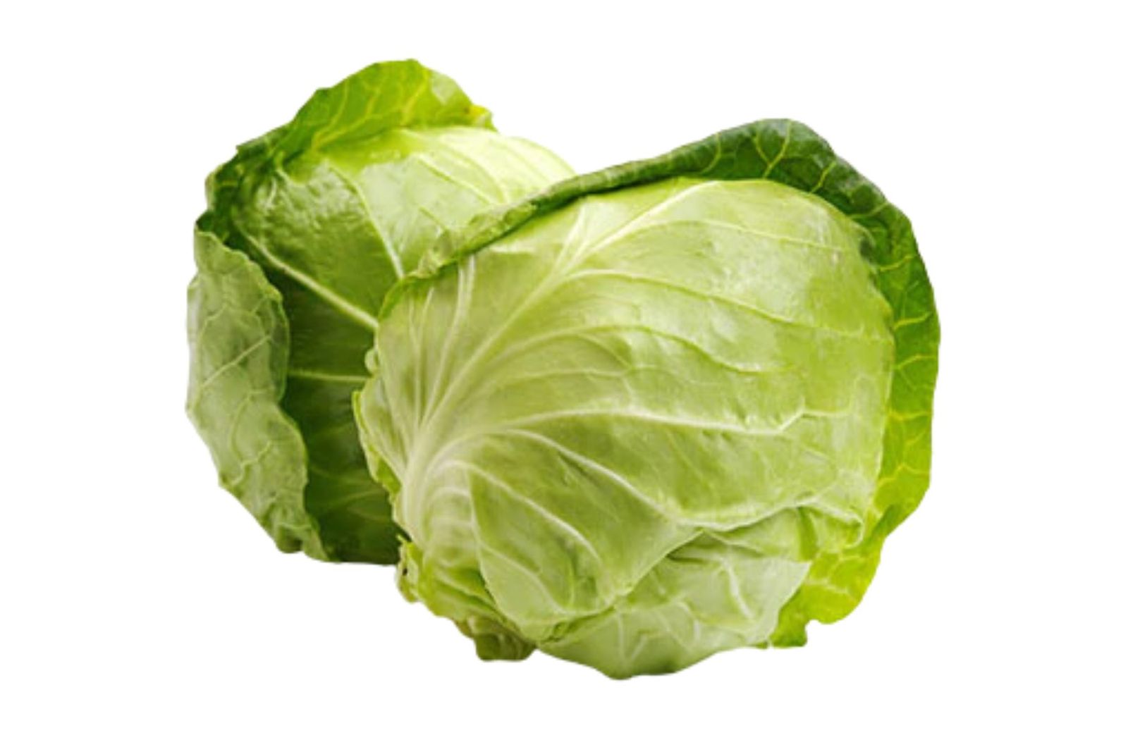 Organic Cabbage Green