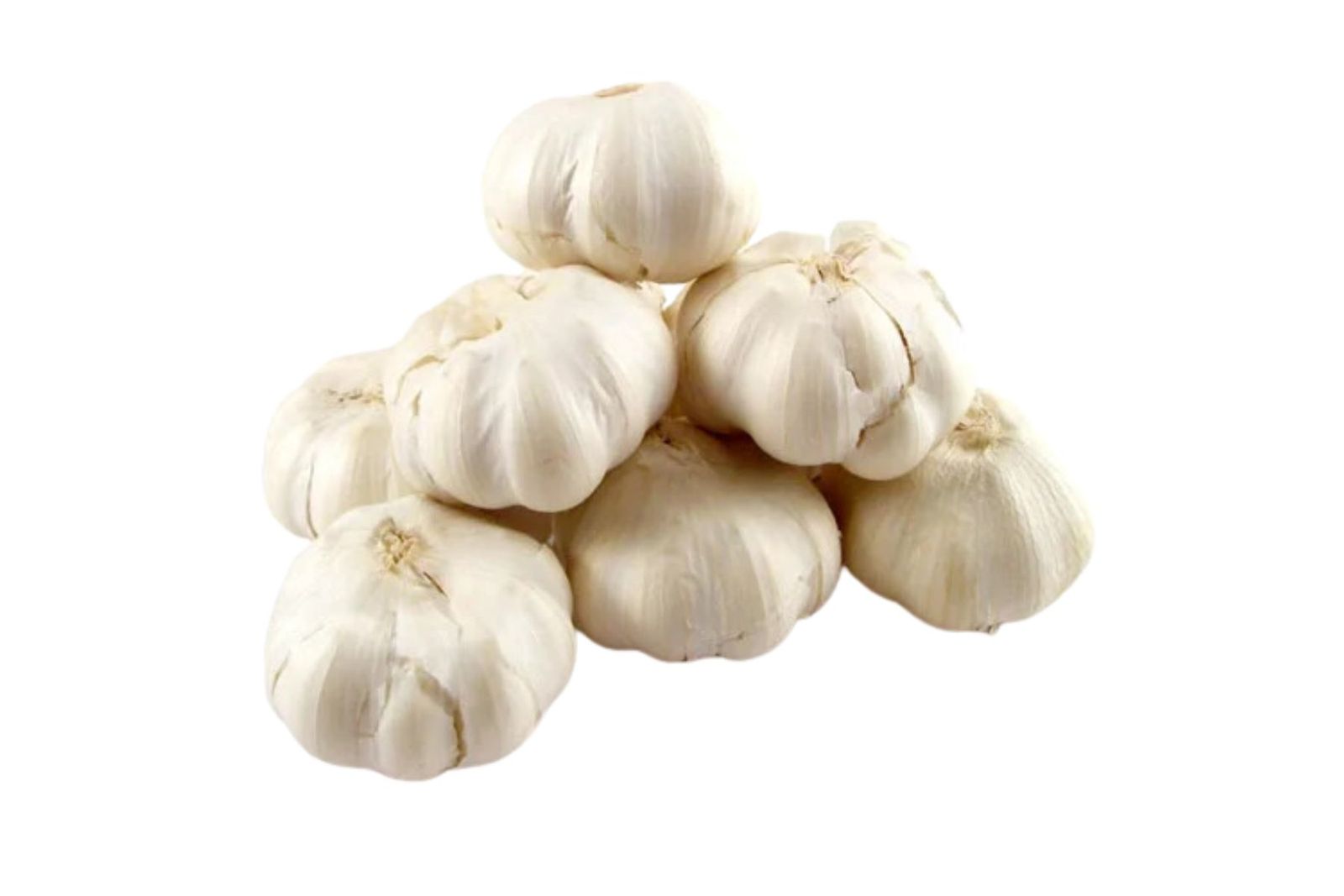 Organic Garlic