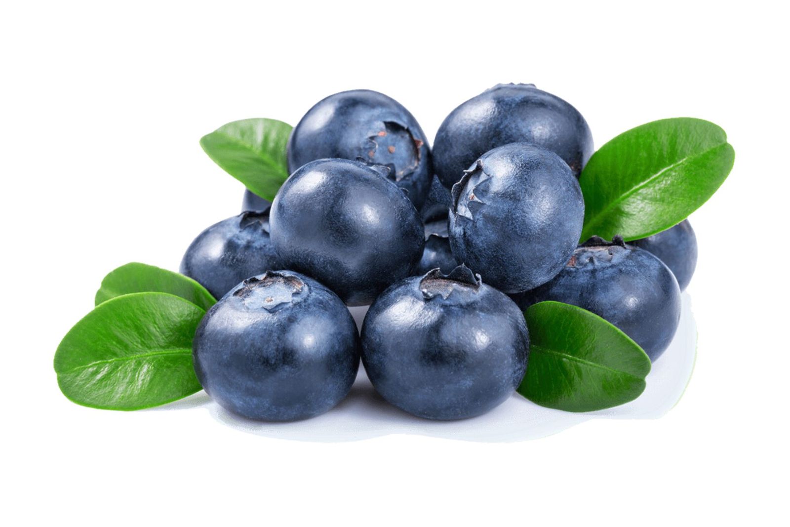 Organic Premium Blueberry