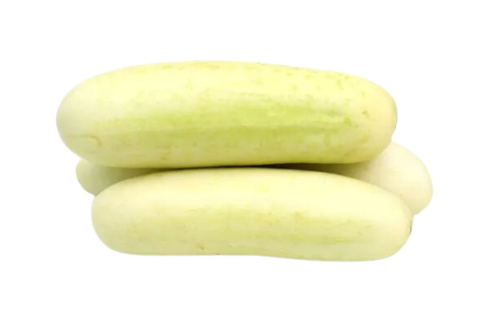 Organic White Cucumber