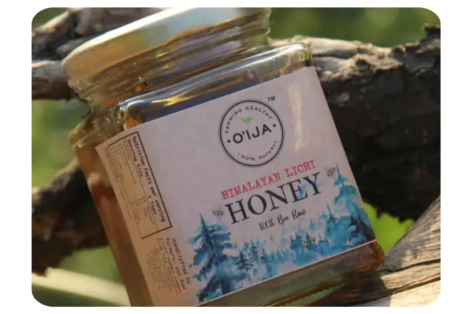 Himalayan Lichi Honey