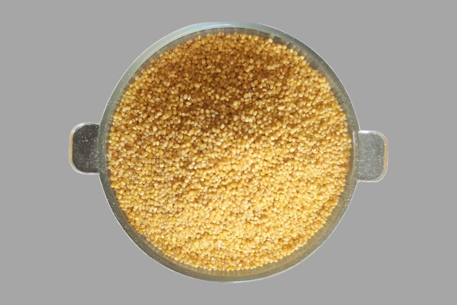 Foxtail Millet