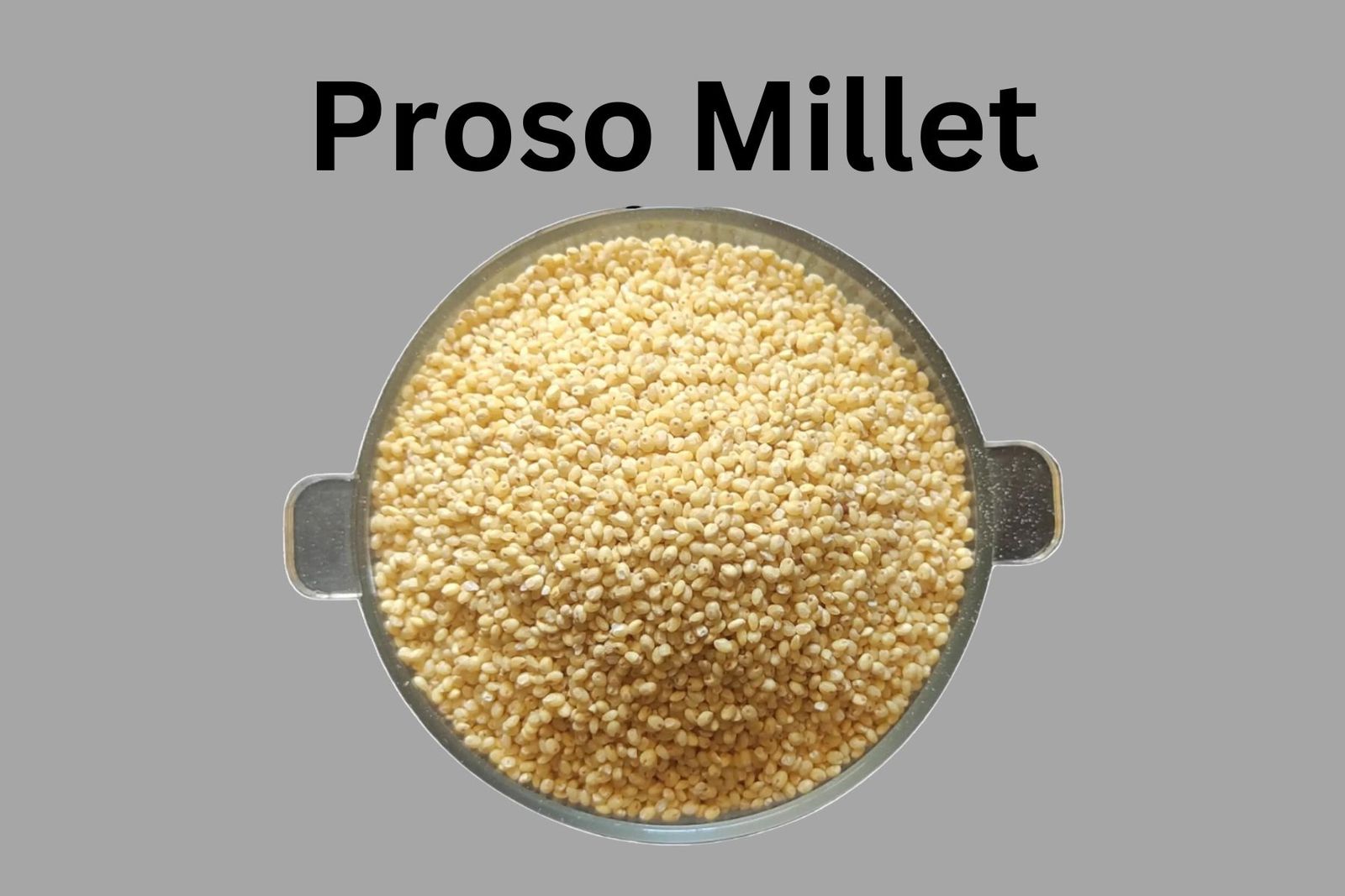 Proso Millet