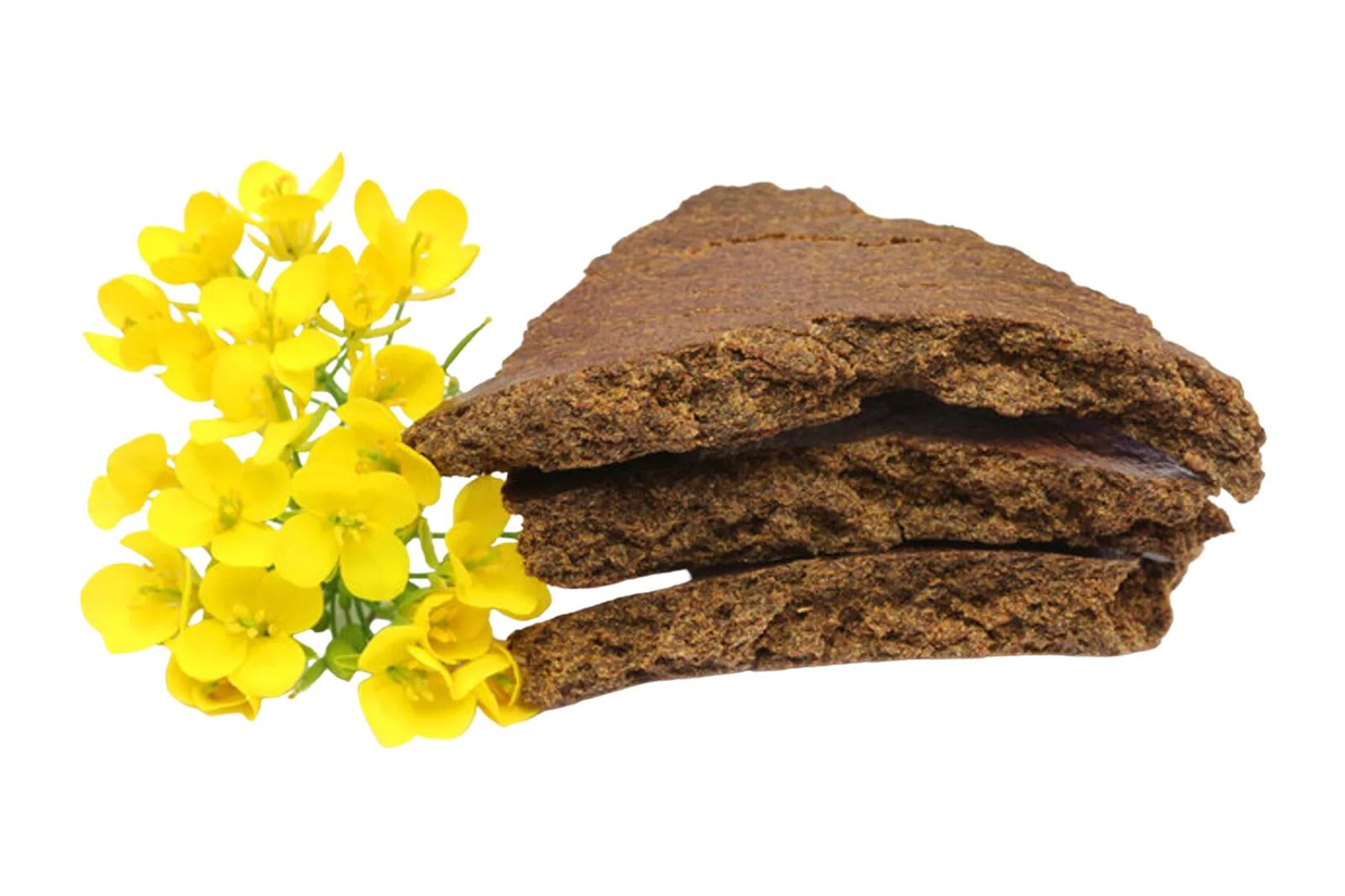 Mustard Cake For Gardening / बागवानी के लिए सरसों का खली