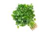 Organic Coriander