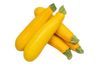 Organic Zucchini - Yellow