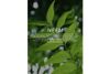 Khadi Natural Neem Face Wash