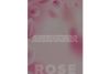 Khadi Natural Pure Rose Water Skin Toner