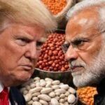 भारत–अमेरिका Trade War में दालों की एंट्री