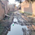 गौशाला फंड में लाखों का घोटाला