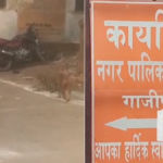 गाजीपुर नगर पालिका द्वारा चलाए जा रहे बंदर पकड़ने के अभियान की तस्वीर