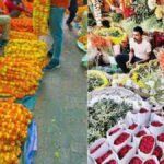 मलदहिया फूल मंडी किसानों के लिए पूरी तरह मुफ्त मलदहिया-इंग्लिशिया