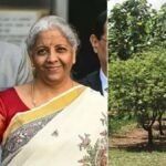 किसानों और गांव के लिए बड़ा बूस्टर बजट में खेती, पशुपालन और रोजगार पर फोकस