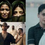 The Kerala Story 2, O Romeo और Assi फिल्मों का बॉक्स ऑफिस कलेक्शन ग्राफ