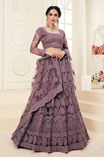 Butterfly Net Embroidery Lehenga Choli LD03880497