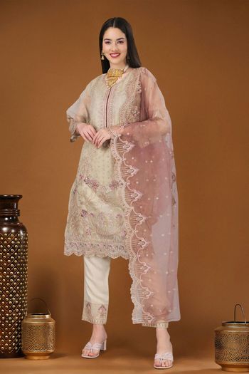 Organza Salwar Kameez With Sequence Work SM05648723