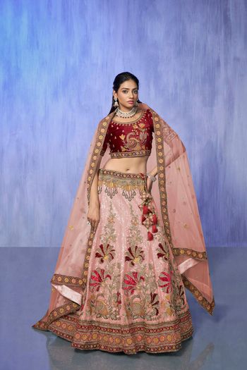 Velvet Lehenga Choli with Embroidery work LD05648994