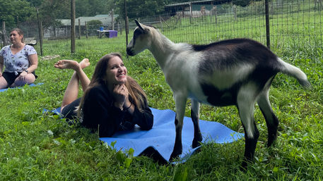 Private or Shared Insta-Worthy Goat Yoga Session on the Farm image 3