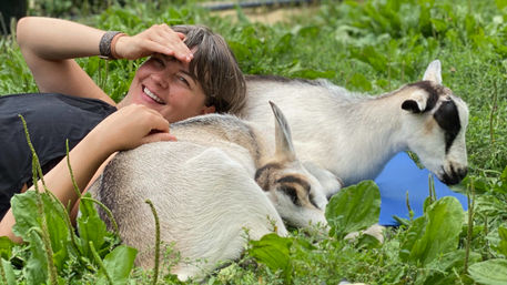 Private or Shared Insta-Worthy Goat Yoga Session on the Farm image