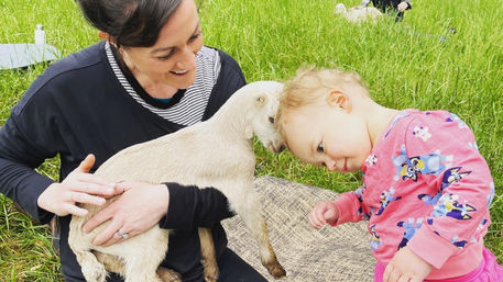 Private or Shared Insta-Worthy Goat Yoga Session on the Farm image 6