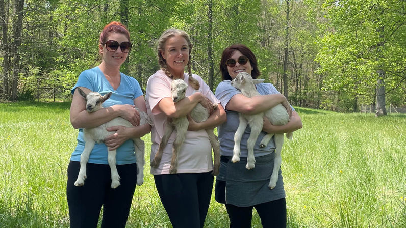 Private or Shared Insta-Worthy Goat Yoga Session on the Farm image 9