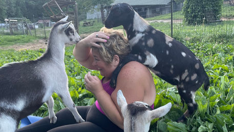 Private or Shared Insta-Worthy Goat Yoga Session on the Farm image 8