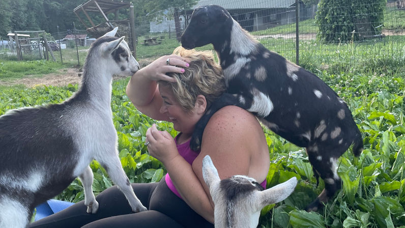Private or Shared Insta-Worthy Goat Yoga Session on the Farm image 10