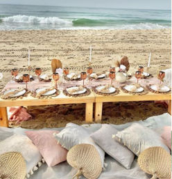 The Ultimate Luxury Hamptons Picnic Experience at Beach or AirBnb image 6