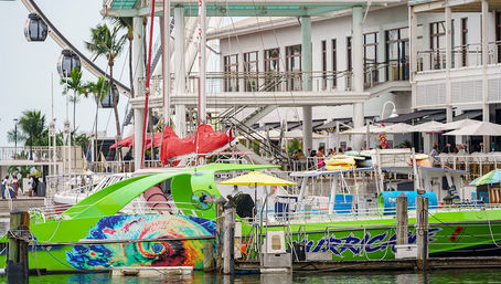 Best of Miami Tour: Guided Experience with Biscayne Bay Cruise + Optional Everglades Air Boat Ride image 6