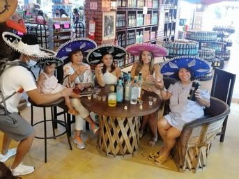 Cancun City Tour & Shopping Experience: Explore Local Culture, History & Hidden Gems image 3