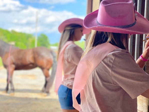 Mustangs & Malas: Gemstone Workshops on a Charming Boutique Horse Property image 2