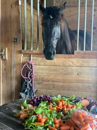 Unbridle Your Creativity: Mala Making, Mimosa Sipping, and Horse-Themed Fun & Photos at Breakaway Ranch Surrounded by Horses! image 9