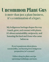 Sip & Sprout: Private Green Gatherings by Uncommon Plant Guy image 12