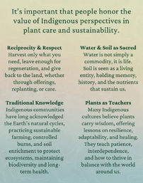 Sip & Sprout: Private Green Gatherings by Uncommon Plant Guy image 11