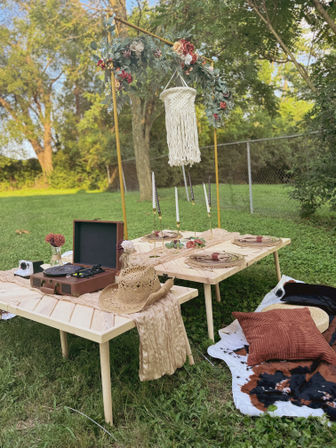 Luxury Picnic On A Horse Farm  image 4