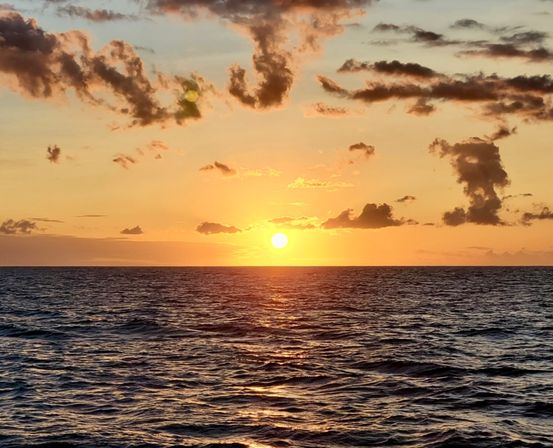 Honolulu Sunset Cruise with Skyline Views: Celebrate Bachelorettes, Birthdays & More image 8