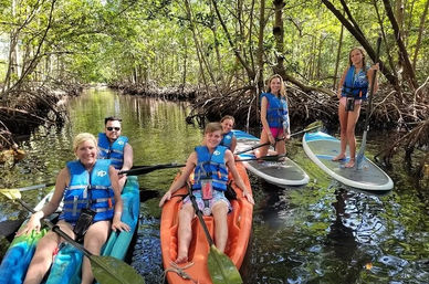 Mangrove Jungle Exploration on SUPs or Kayaks from Haulover Marina image 6