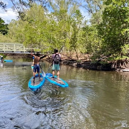 Mangrove Jungle Exploration on SUPs or Kayaks from Haulover Marina image 7