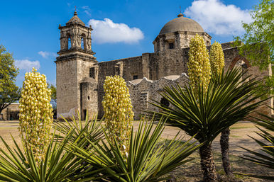 Half-Day Sight-Seeing Tour: Best of San Antonio with Transport & River Cruise image 4