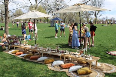 Luxury Picnic Experience with Seasonal Charcuterie & Mimosa Bar Package image 9