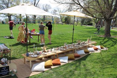 Luxury Picnic Experience with Seasonal Charcuterie & Mimosa Bar Package image 10