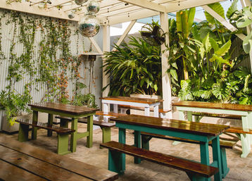 Sunlit outdoor patio garden dining with wooden picnic tables and benches (green/teal bases), lush tropical plants and climbing vines, white pergola with string lights and mirrored disco balls.