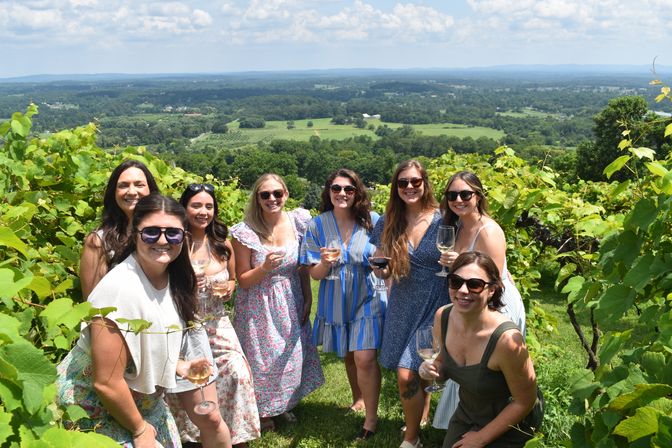 Deluxe Boozy Brunch by Cork & Keg Tours: Guided Wine Tastings, Brunch & Scenic Views image 4
