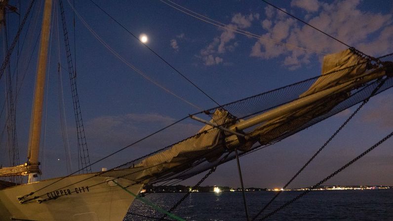 Evening Wine & Jazz Concert Sail Aboard the Clipper City image 10