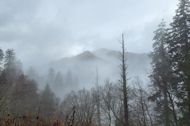 Ghosts of Gatlinburg Tour for All Ages image 7